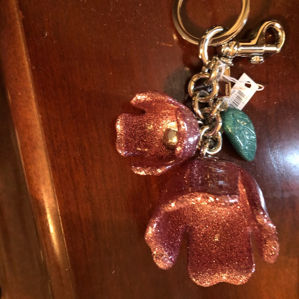 Coach charm